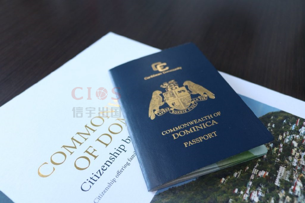 单人多米尼克护照成功案例