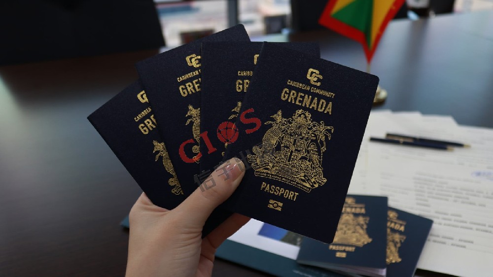 格林纳达护照成功案例