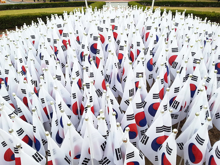 julia-roberts-flag-korea-republic-of-korea-preview.jpg